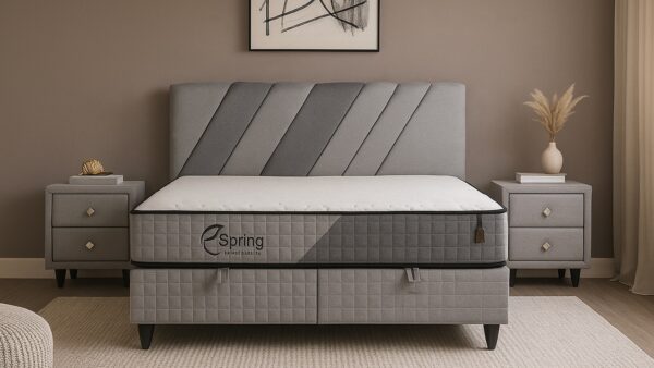 megabedspring02